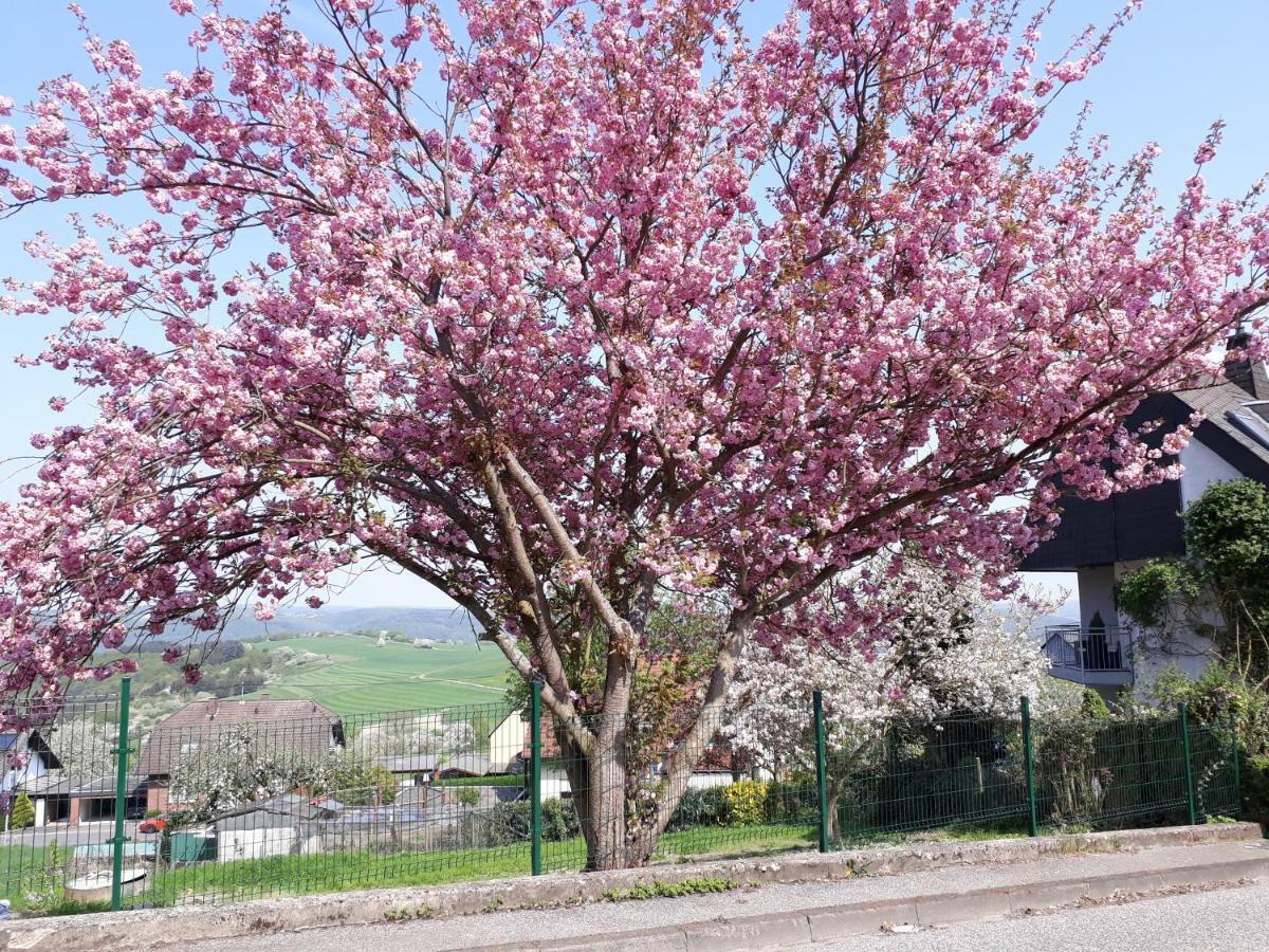 보파르트 Haus Der Rosen 아파트 외부 사진